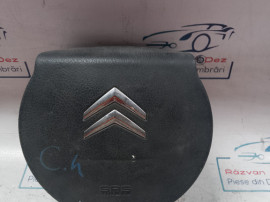 Maner exterior stanga spate Seat Ibiza 2010