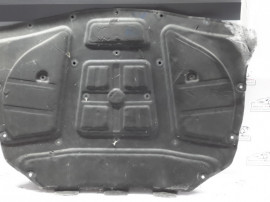 Pâsla capotă BMW F10