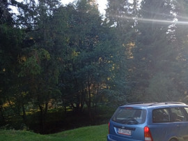 Ford focus 2002 benzina