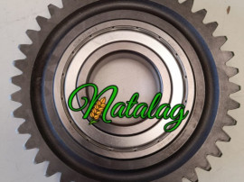 Pinion 41 d fella sm 240