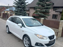 Seat Ibiza 6j Copa