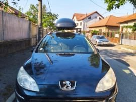 Peugeot 407 SW (2008) Benzinar + GPL