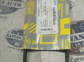 Curea transmisie cu caneluri Dacia Sandero