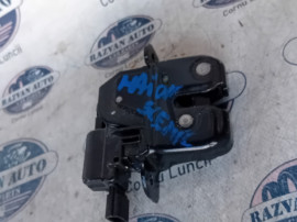 Broasca hayon Renault Scenic