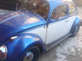 Vw kafer, broasca an 1961