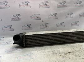 Intercooler  Renault Laguna 2009, 144610001N