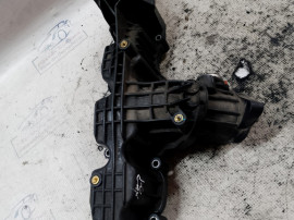 Galerie Admisie Plastic Skoda RAPID 1.6 2014