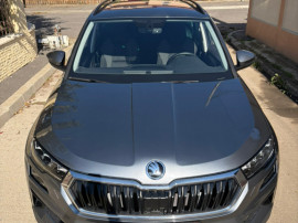Skoda Karoq 2023 6000 km