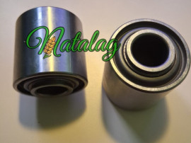 Rulmenti semanatori Monosem NG 2