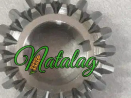 Pinion cositoare pz