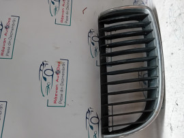 Grila bara fata Skoda RAPID 2012
