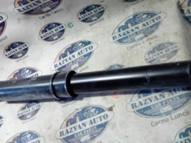 Telescop dreapta spate Renault Scenic