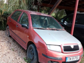 Skoda Fabia 2 Benzina