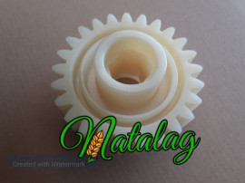 Pinion semanatoare Amazone ED