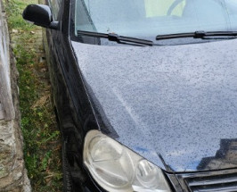 VOLKSWAGEN Polo 2009 — imagine 2